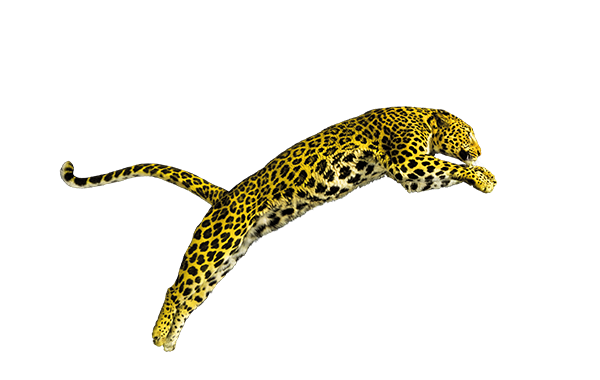 Logo Locarno Film Festival