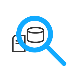 Data Profiling